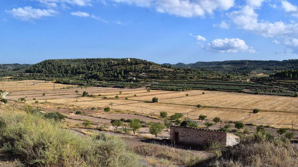 10.8.2019 paisatge  Maldà -  Ramon Sunyer