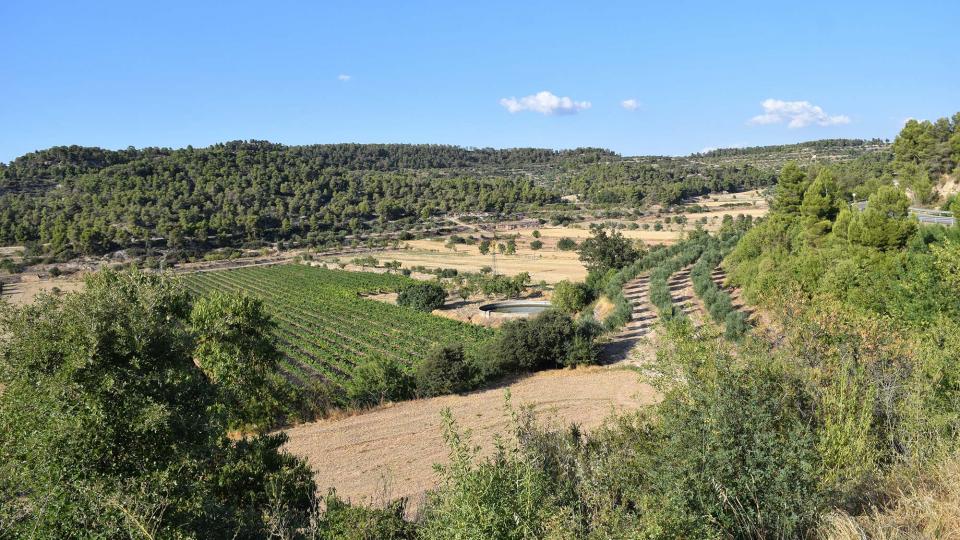 paisatge 10.8.2019 paisatge Llorenç de Rocafort - Ramon Sunyer