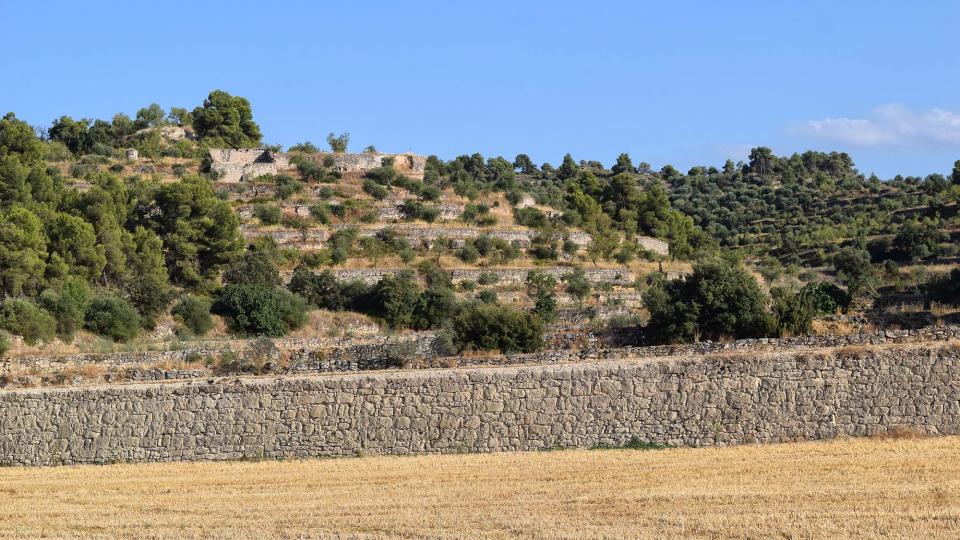 paisatge 10.8.2019 paisatge Llorenç de Rocafort - Ramon Sunyer