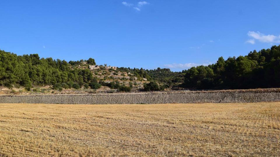 paisatge 10.8.2019 paisatge Llorenç de Rocafort - Ramon Sunyer