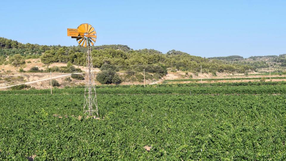 paisatge 10.8.2019 paisatge Llorenç de Rocafort - Ramon Sunyer