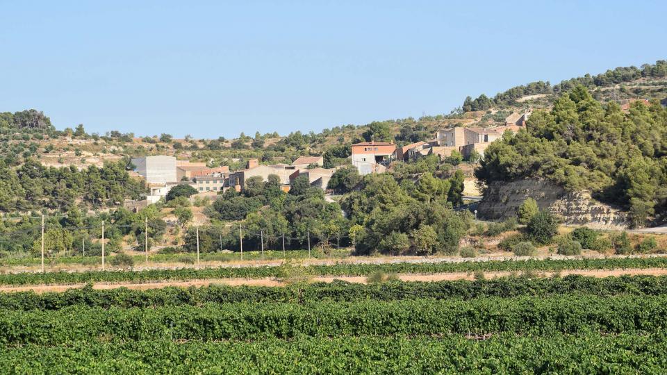 paisatge 10.8.2019 paisatge Llorenç de Rocafort - Ramon Sunyer