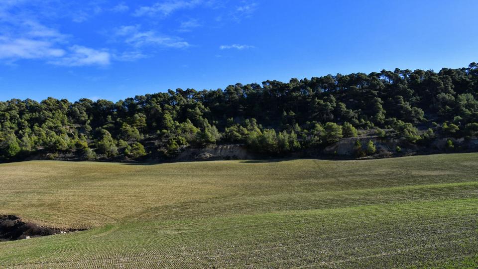 Paisatge 22.12.2019 Paisatge Conesa - Ramon Sunyer