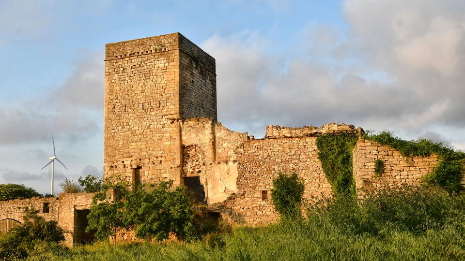 30.5.2020 torre del castell  La Sala de Comalats -  Ramon Sunyer