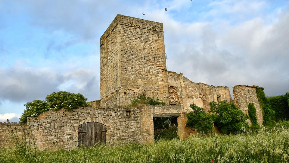 30.5.2020 torre del castell  La Sala de Comalats -  Ramon Sunyer