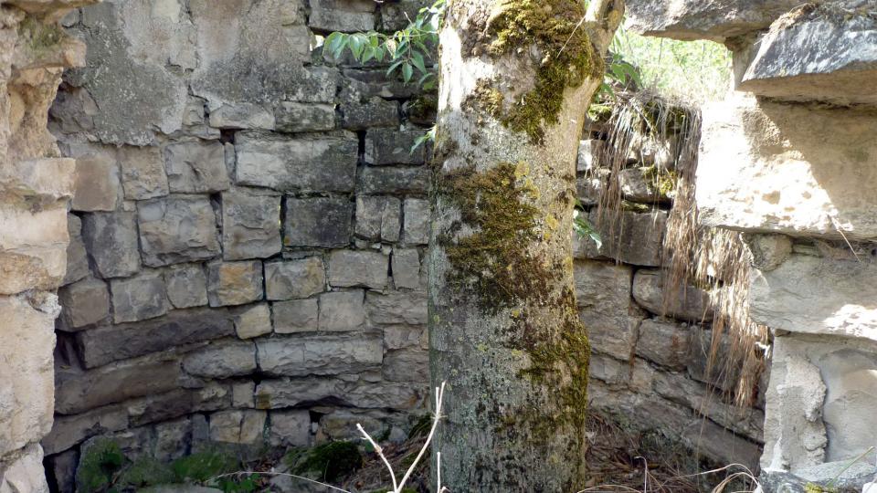 7.9.2014 Torre de Ferragut  Gàver -  Isidre Blanc