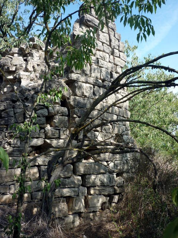 7.9.2014 Torre de Ferragut  Gàver -  Isidre Blanc