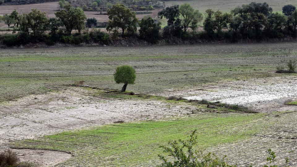 Ajuts destinats a les explotacions agràries afectades pels aiguats