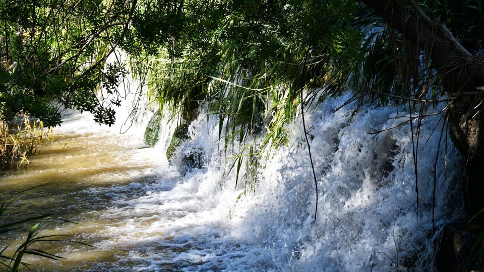 13 de Juny de 2020 Peixera d'Ossó de Sió al riu Sió  Ossó de Sió -  Ramon Sunyer