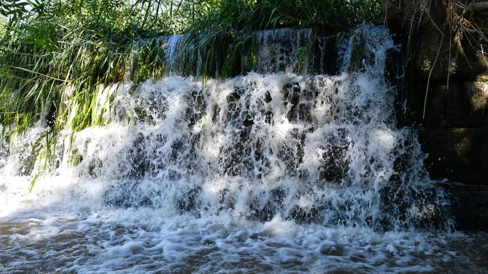 13 de Juny de 2020 Peixera d'Ossó de Sió al riu Sió  Ossó de Sió -  Ramon Sunyer