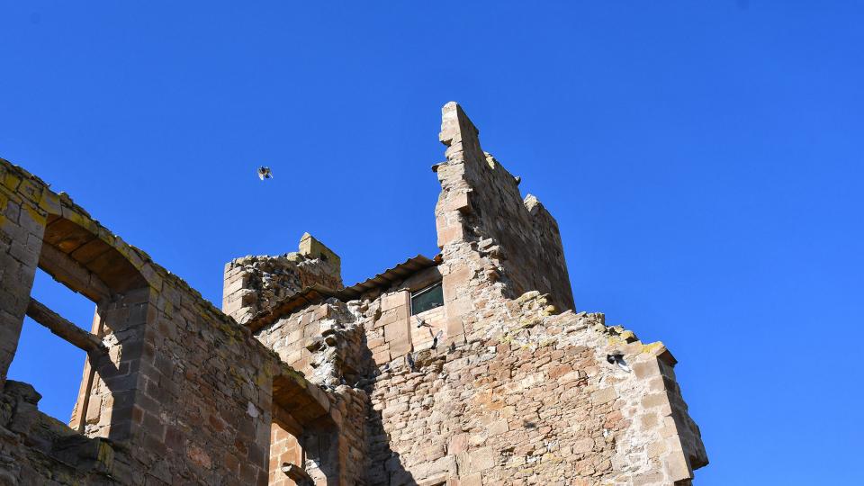 13.6.2020 Castell  Montfalcó d'Ossó -  Ramon Sunyer