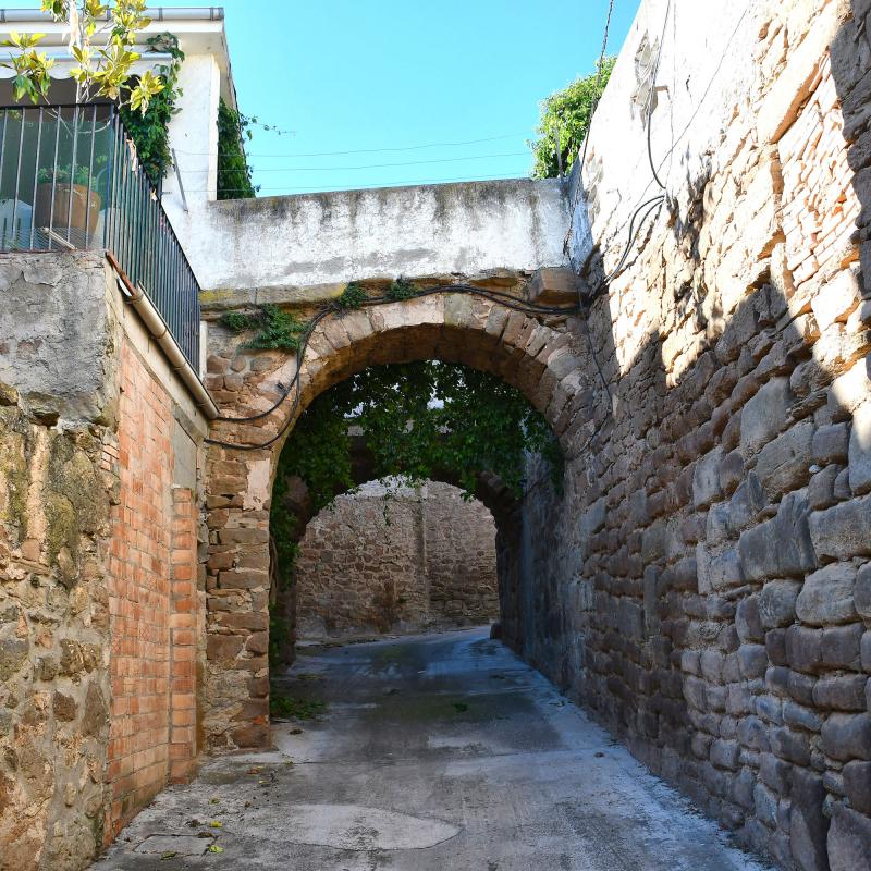 Portal 13.6.2020 Portal Montfalcó d'Ossó - Ramon Sunyer