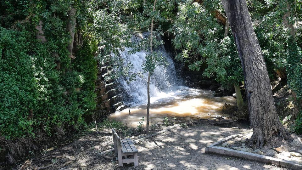 21.6.2020 Font i peixera de la Puda al riu Sió  Concabella -  Ramon Sunyer