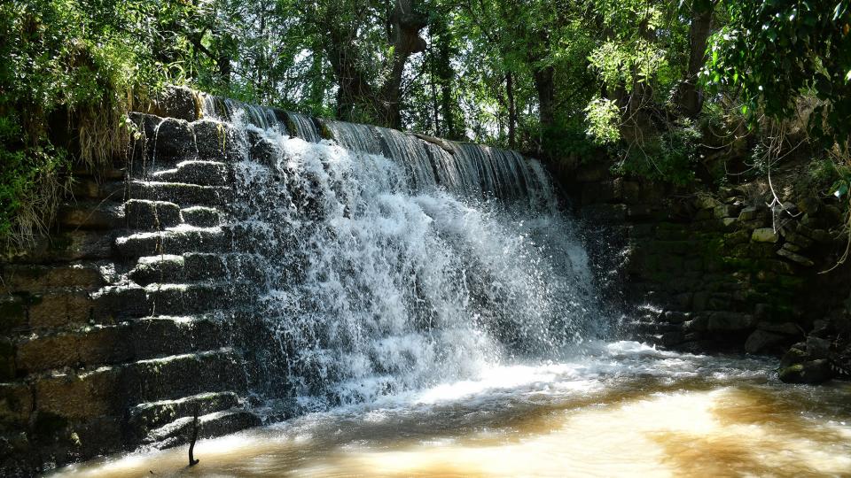 21.6.2020 Font i peixera de la Puda al riu Sió  Concabella -  Ramon Sunyer