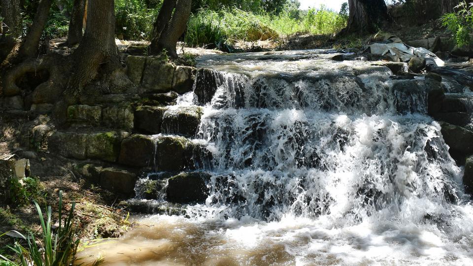 5 de Juliol de 2020 Peixera de Ratera al riu Sió  Ratera -  Ramon Sunyer