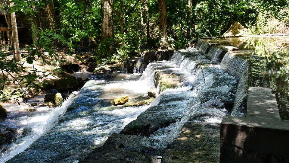 Fluvial space  Peixera d'Hostafrancs