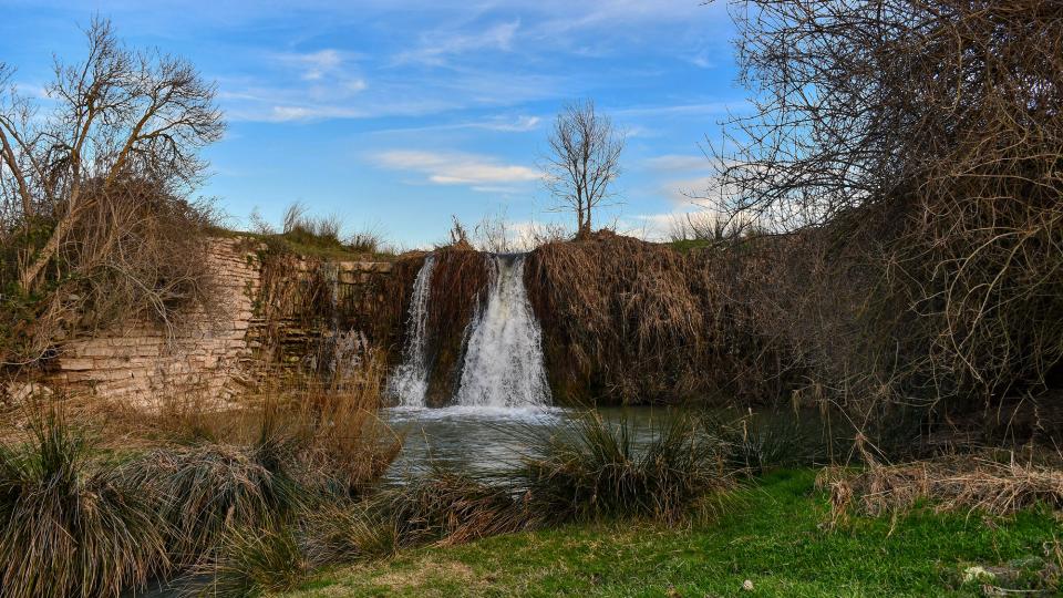 1 de Febrer de 2020 Peixera al riu Ondara  Pallerols -  Ramon Sunyer