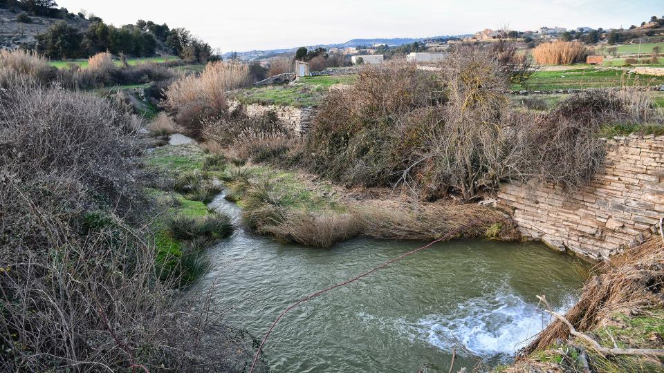 1.2.2020 Peixera al riu Ondara  Pallerols -  Ramon Sunyer