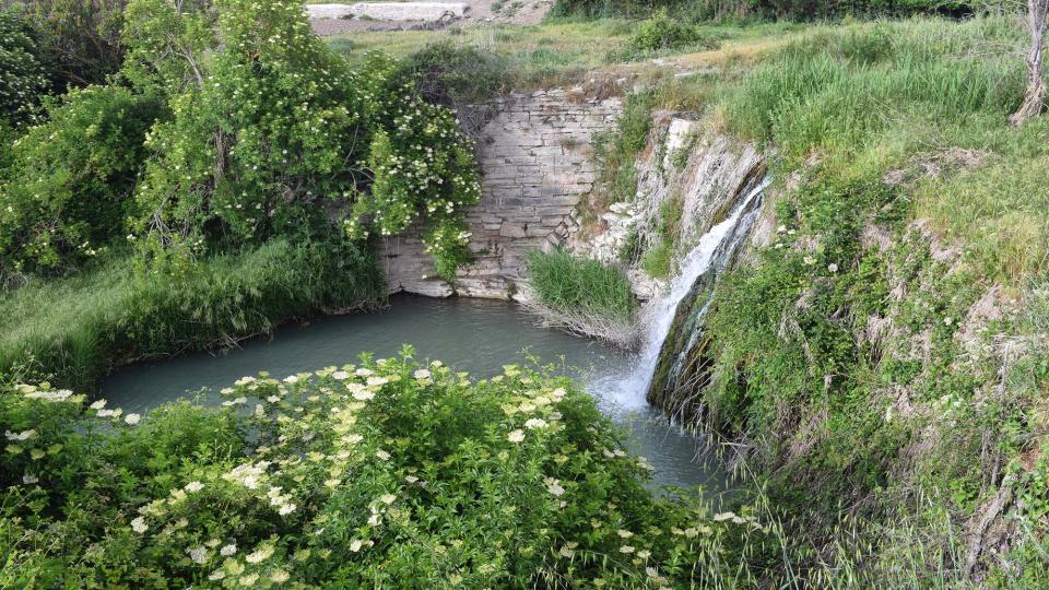18.5.2019 Peixera al riu Ondara  Pallerols -  Ramon Sunyer