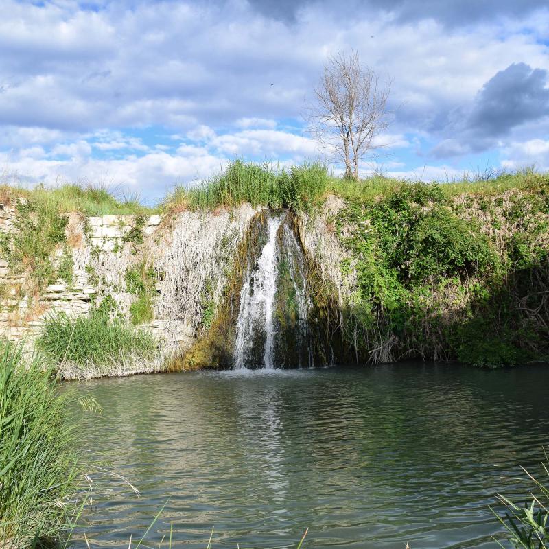 18.5.2019 Peixera al riu Ondara  Pallerols -  Ramon Sunyer