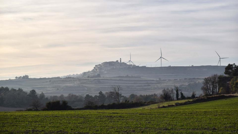 23.12.2018   Forès -  Ramon Sunyer