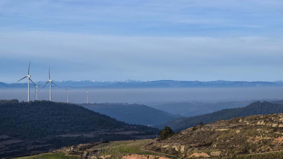 23.12.2018   Forès -  Ramon Sunyer