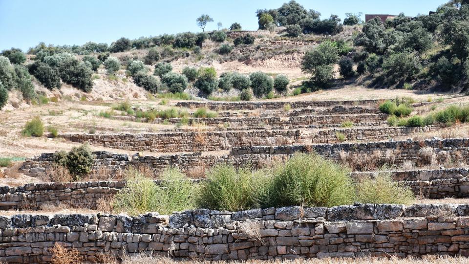 parets de pedra a Selvanera - 