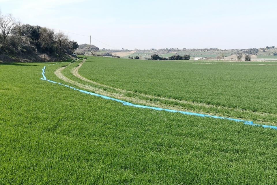 ELS VEÏNS D’ALTA-RIBA DENUNCIEN DAVANT EL TSJC AL CONSELL COMARCAL DE LA SEGARRA I A L’ENTITAT GESTIÓ D’AIGÜES DE LA SEGARRA 11.3.2021 ELS VEÏNS D’ALTA-RIBA DENUNCIEN DAVANT EL TSJC AL CONSELL COMARCAL DE LA SEGARRA I A L’ENTITAT GESTIÓ D’AIGÜES DE LA SEGARRA Alta-riba - AACSMA