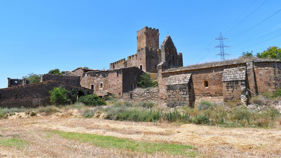 27.6.2021 Sant Pere de les Sitges  Florejacs -  Ramon Sunyer