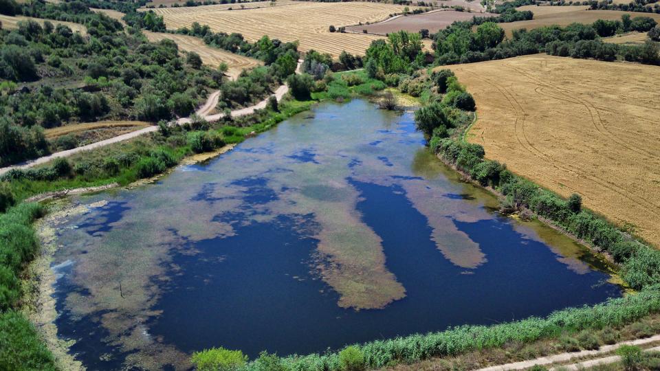 Espai fluvial Bassa de Palouet - Autor Ramon Sunyer (2021)