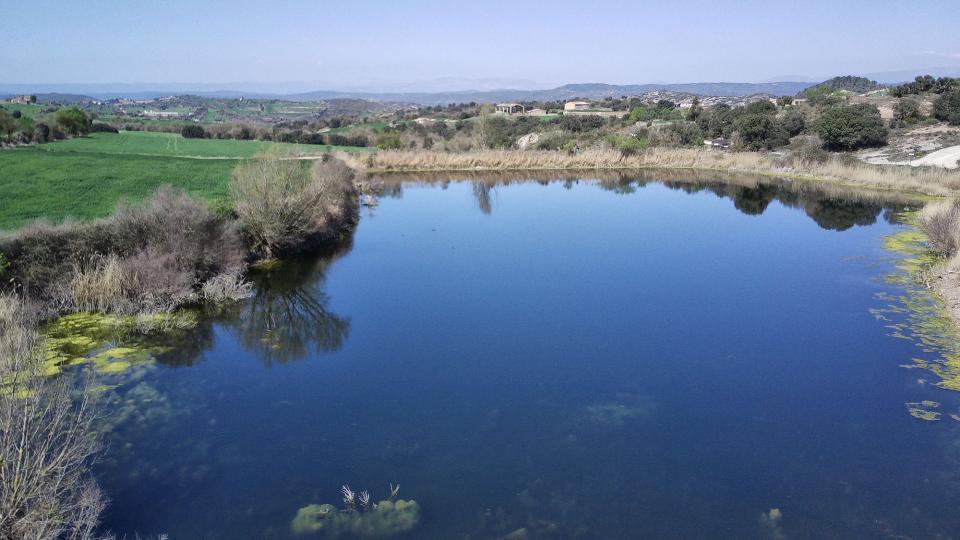 21.3.2021 Bassa vista aèria  Palouet -  Ramon Sunyer