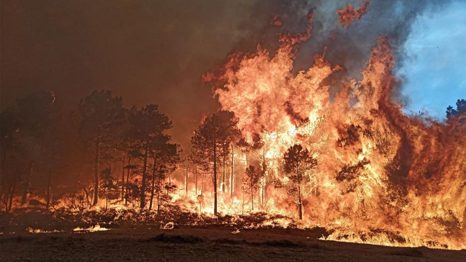 L'incendi forestal dissabte zona de Bellprat - Santa Coloma de Queralt