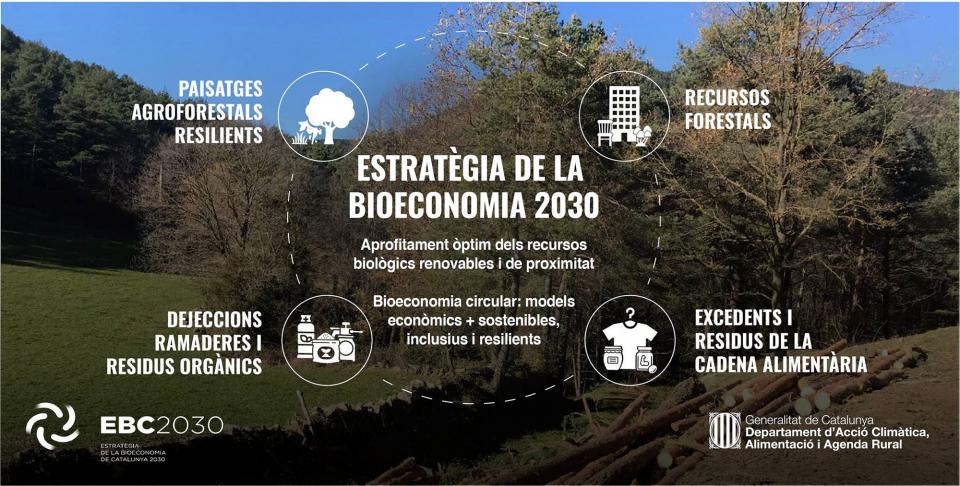 El Govern aprova l’Estratègia de la bioeconomia de Catalunya 2030