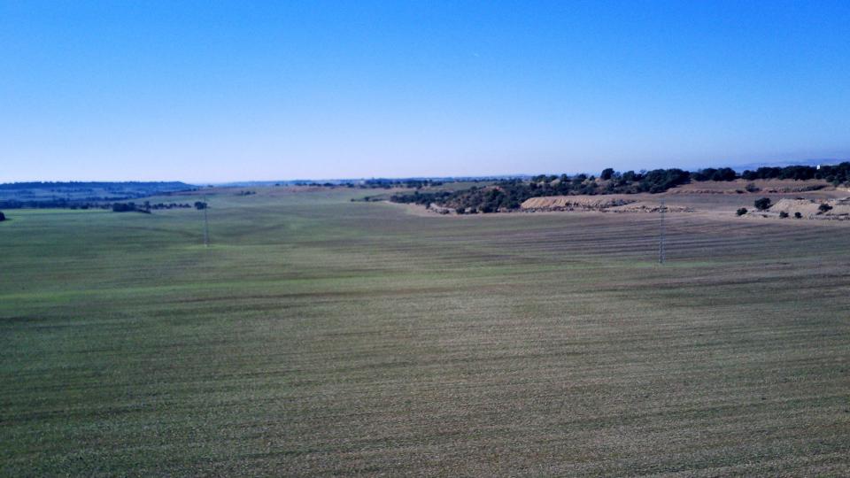 Zona destinada a la macrogranja de porcs - L'Aranyó Zona destinada a la macrogranja de porcs - L'Aranyó