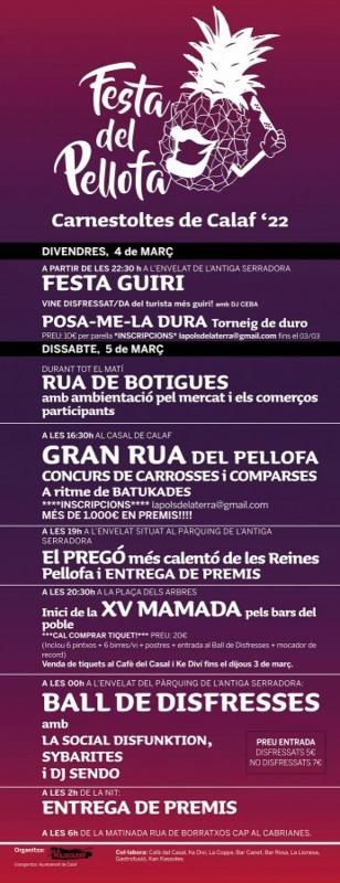 cartell Festa del Pellofa, el carnaval de Calaf