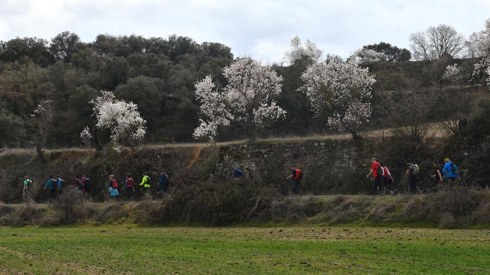 6 de Març de 2022   Guarda-si-venes -  Ramon Sunyer