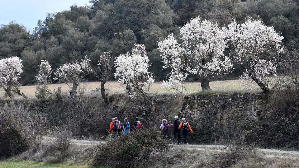 6.3.2022   Guarda-si-venes -  Ramon Sunyer