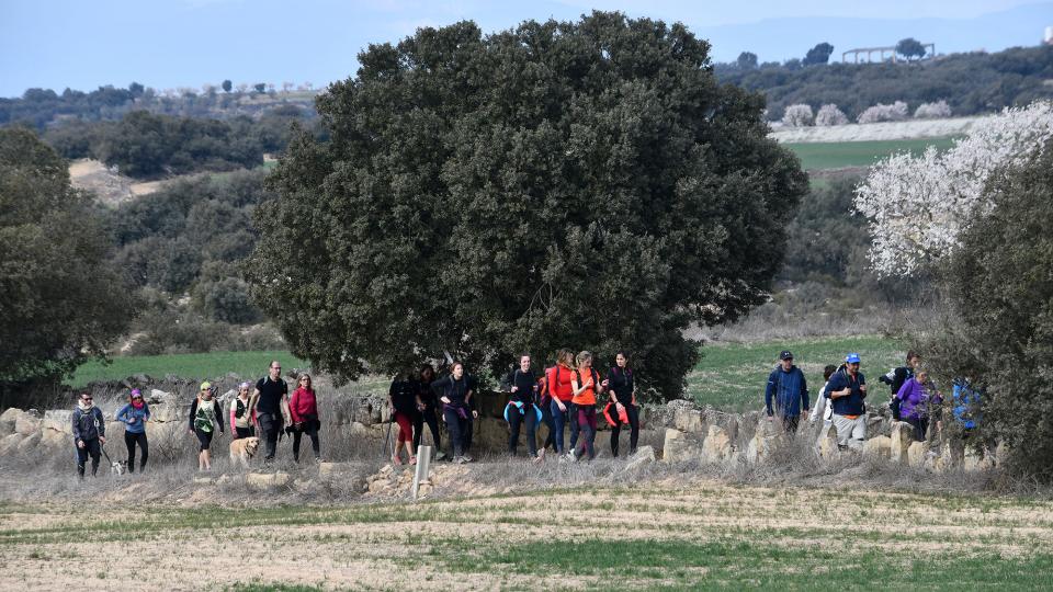 6 de Març de 2022   Palou -  Ramon Sunyer