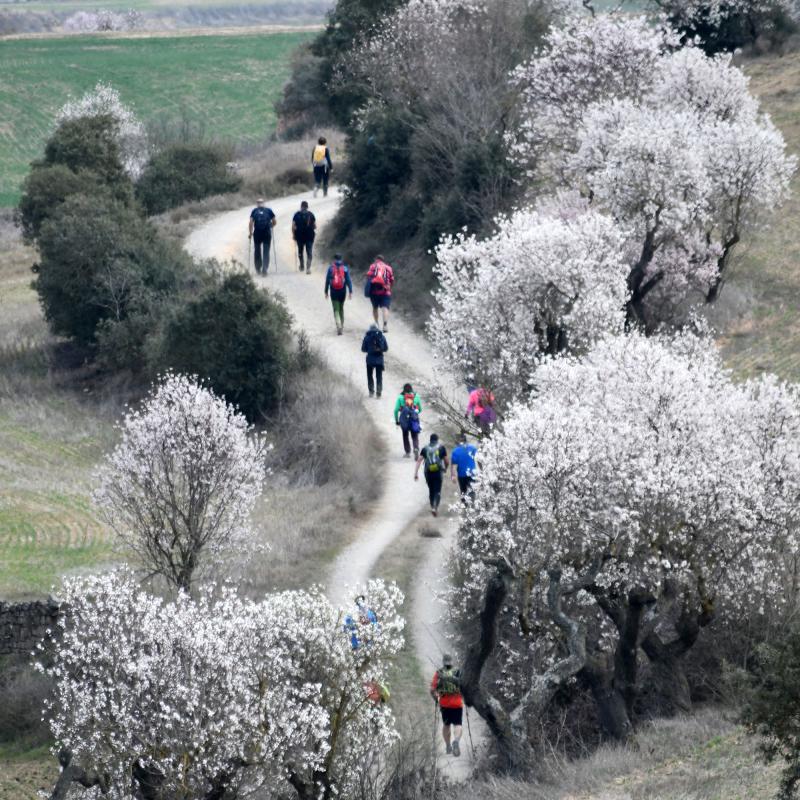 6.3.2022   Guarda-si-venes -  Ramon Sunyer