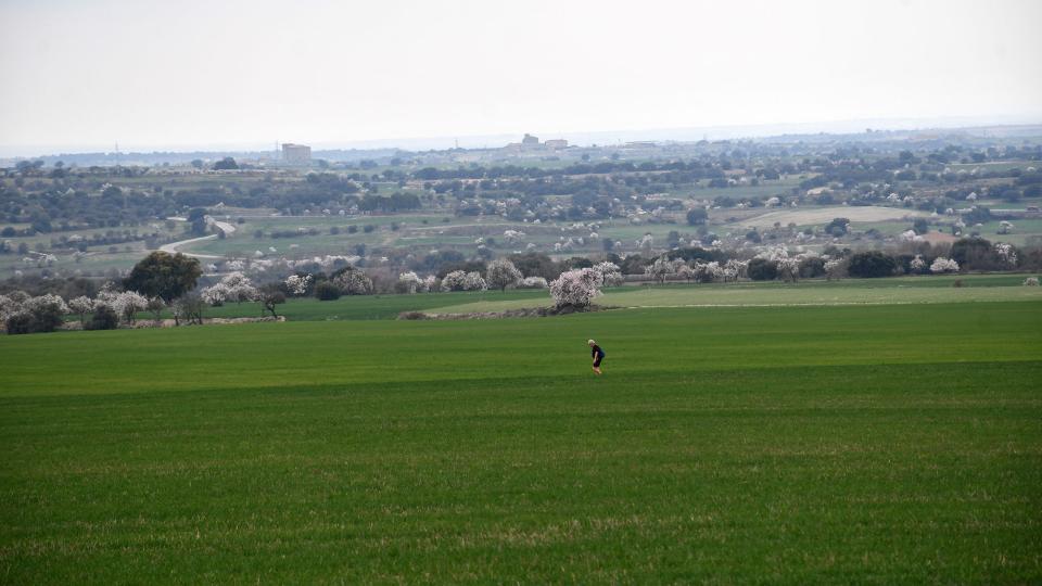 6.3.2022   Castellmeià -  Ramon Sunyer