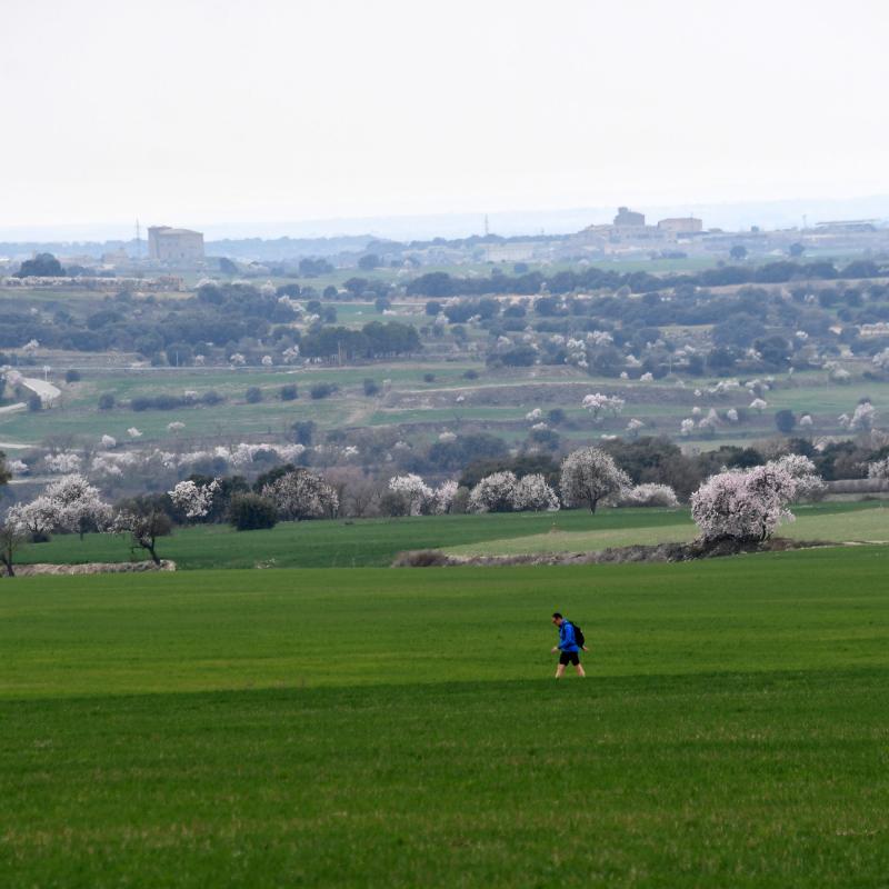 6.3.2022   Castellmeià -  Ramon Sunyer