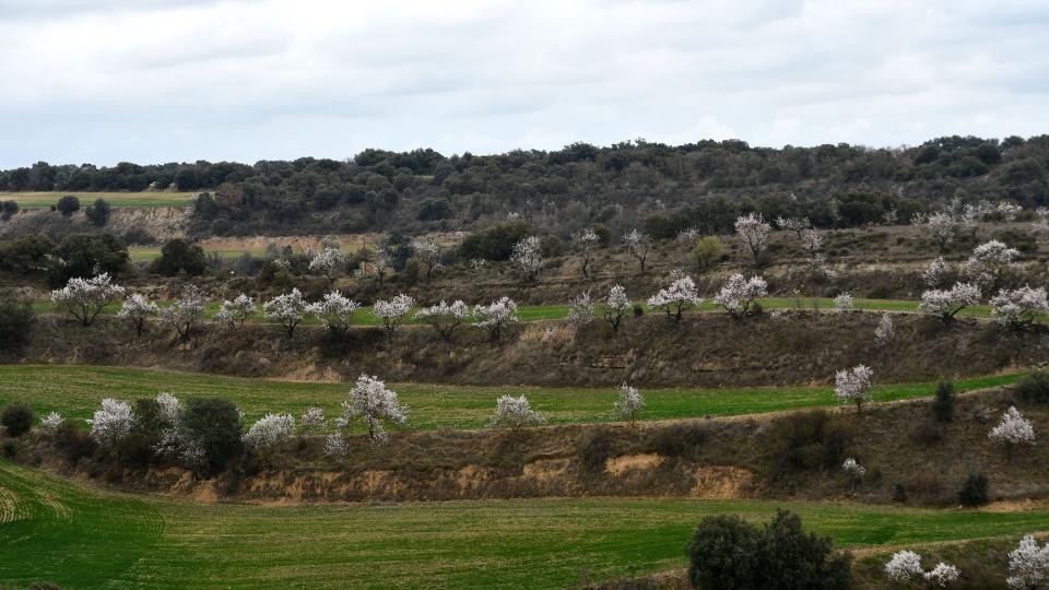 6 de Març de 2022   Tudela -  Ramon Sunyer