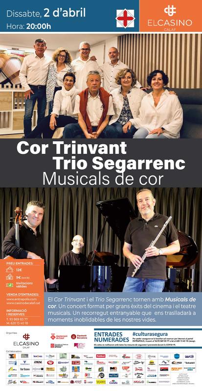 cartell Concert 'Musicals de cor'