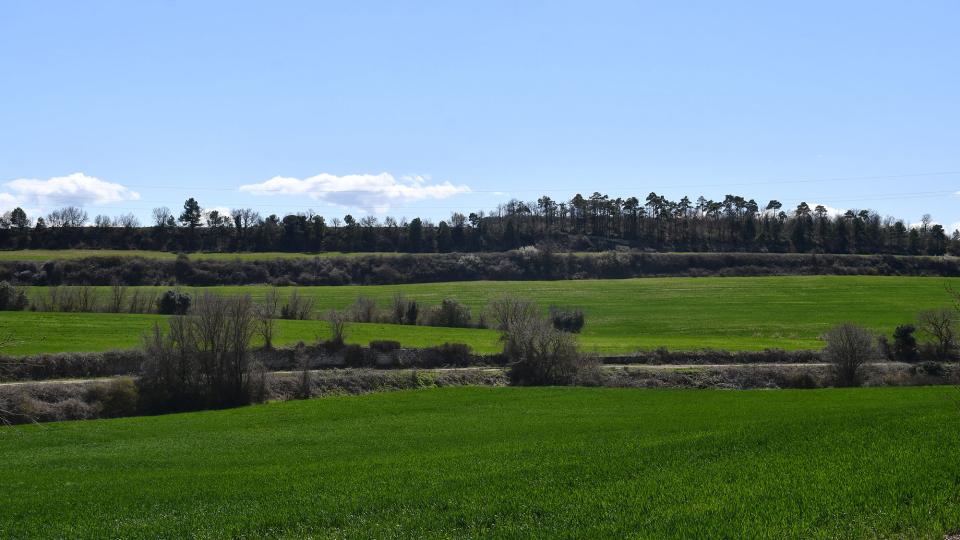 3 de Abril de 2022 Paisatge  Ferran -  Ramon Sunyer