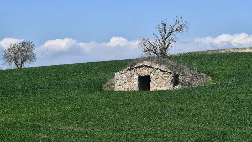 3.4.2022 sembrats i cabana  Torà -  Ramon Sunyer