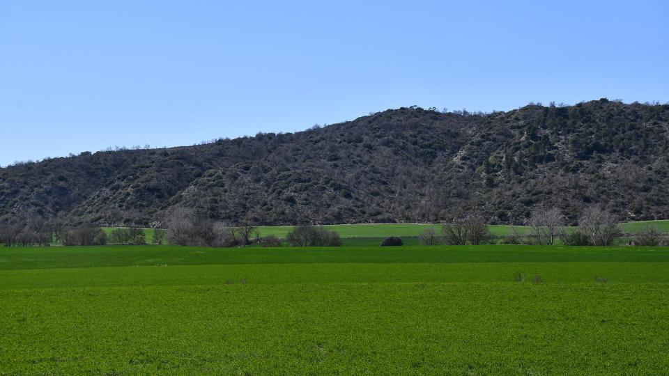 3 de Abril de 2022 sembrats  Torà -  Ramon Sunyer