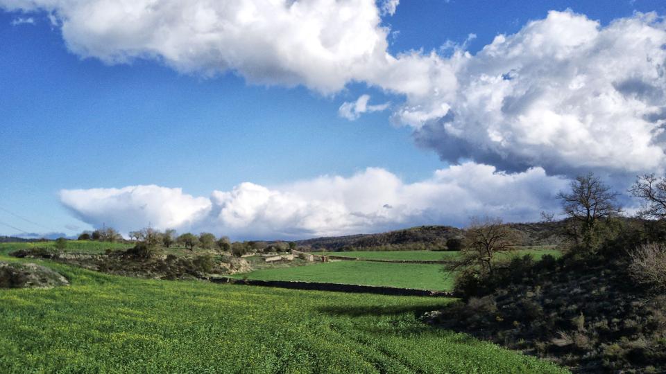 3 de Abril de 2022 Torrovelles  Torà -  Ramon Sunyer