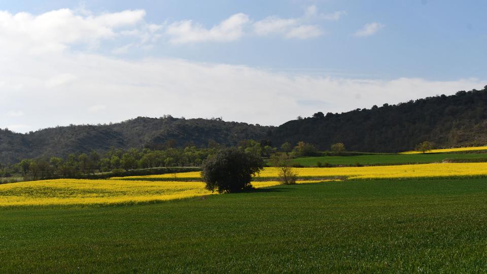 18.4.2022 Torrovelles  Torà -  Ramon Sunyer