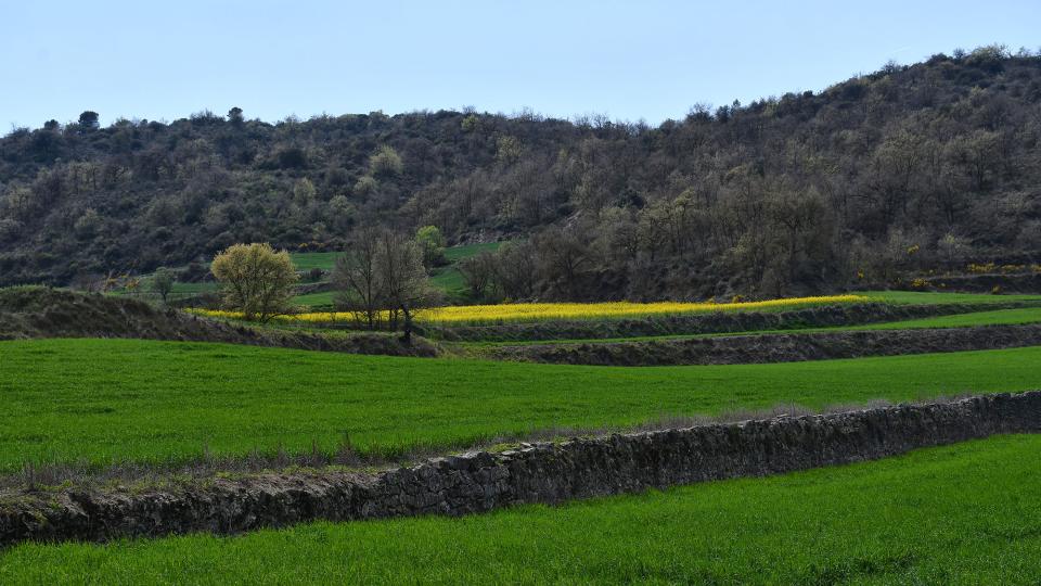 18.4.2022 Torrovelles  Torà -  Ramon Sunyer