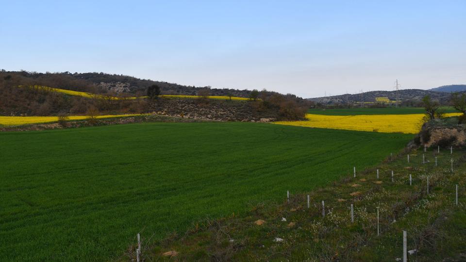 18.4.2022 Torrovelles  Torà -  Ramon Sunyer